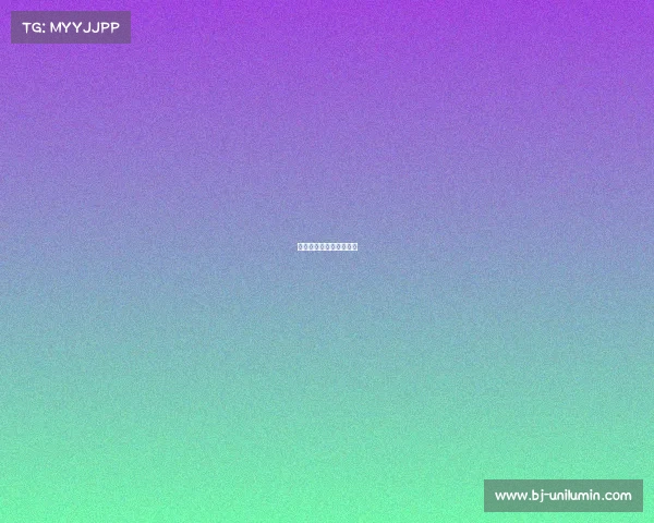 国际最强格斗赛事排名榜