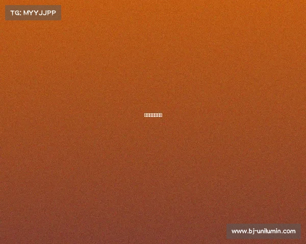 极速先锋演员表