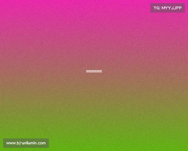 九球最高的赛事有哪些