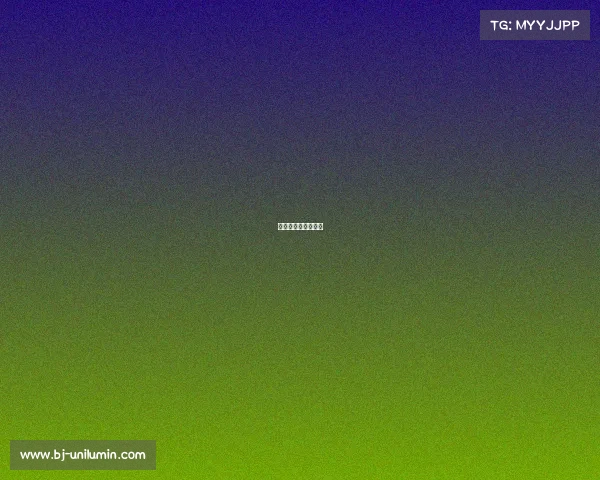 女排世联赛比赛日程